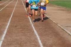 IMG_7349-FILEminimizer