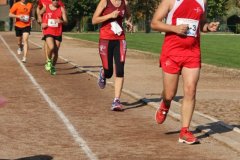 IMG_7614-FILEminimizer